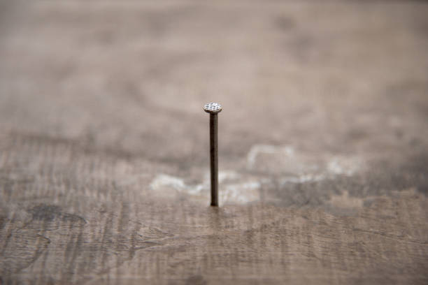 Close up the nail or  tack on wooden floor stock photo