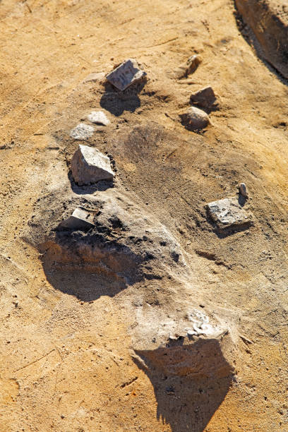 kuvapankkikuvat ja rojaltivapaat kuvat aiheesta arkeologisia löytöjä kulayskin kulttuurin ajasta, rauta-ajasta - crash helmet