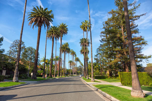 istock Beverly Hills street, Los Angeles 927830402
