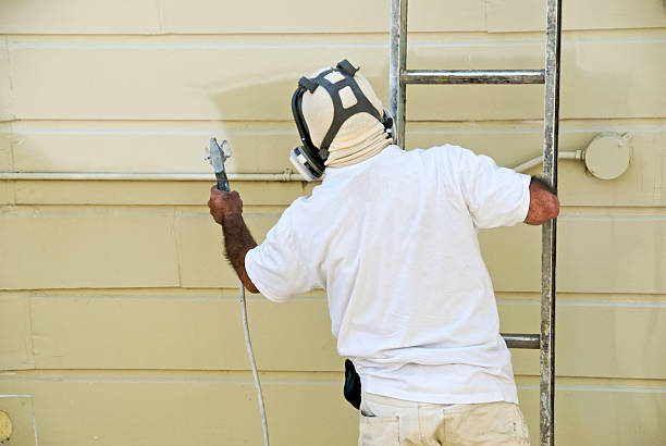 Man on ladder painting with spray gun stock photo