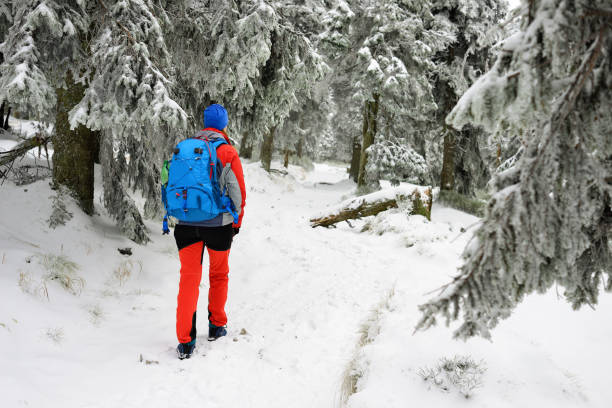 istock Poland mountains on the winter time 927839938