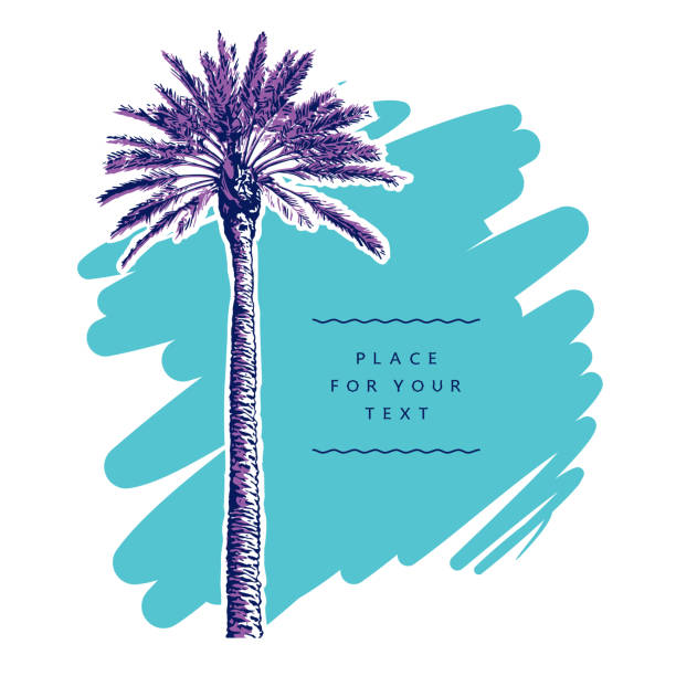 ilustraciones, imágenes clip art, dibujos animados e iconos de stock de árbol de palma sola sobre fondo turquesa. - miami beach