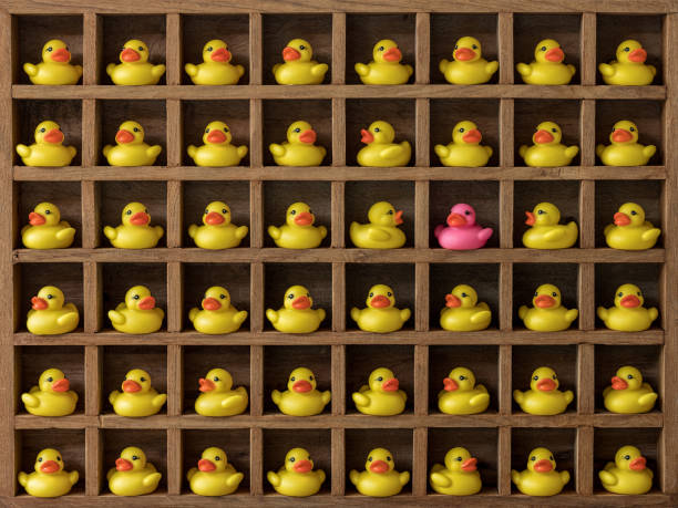 istock Many yellow rubber ducks in pigeon hole compartments with one different pink duck. 927850050