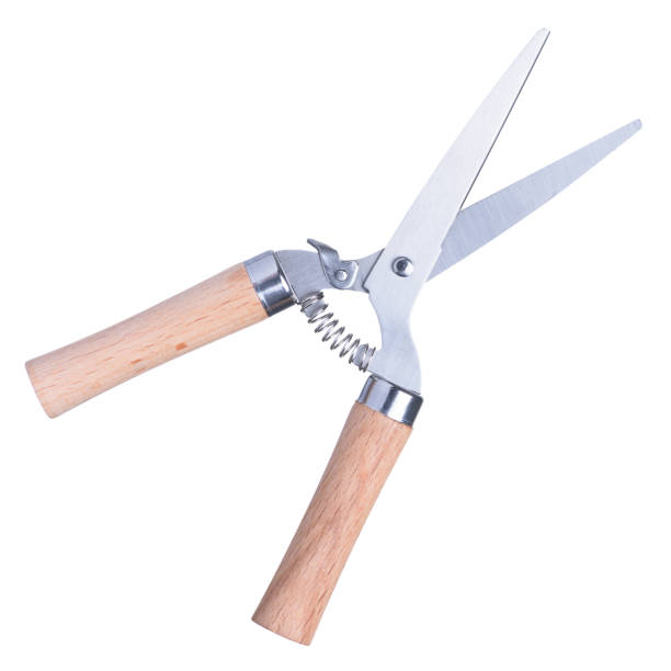 istock Gardening scissors with wooden handle 927853126