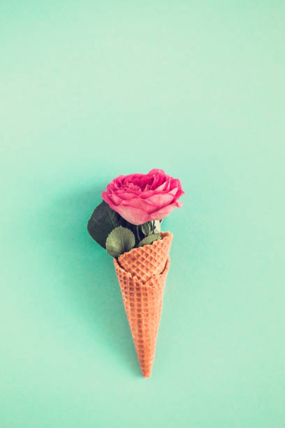 Waffle cone with rose flower from above