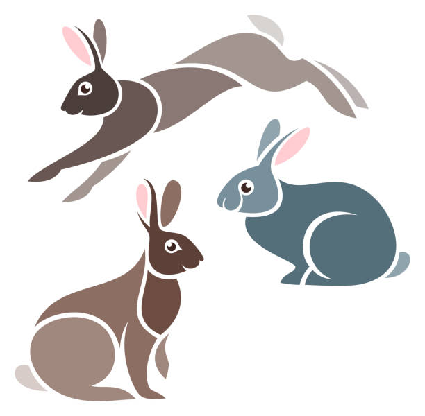 170+ Grey Rabbit Running Stock Illustrations, Royalty-Free Vector ...