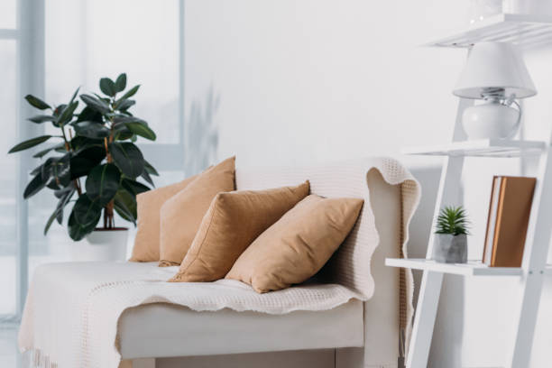 istock sofa with pillows and potted plants in room 927867584