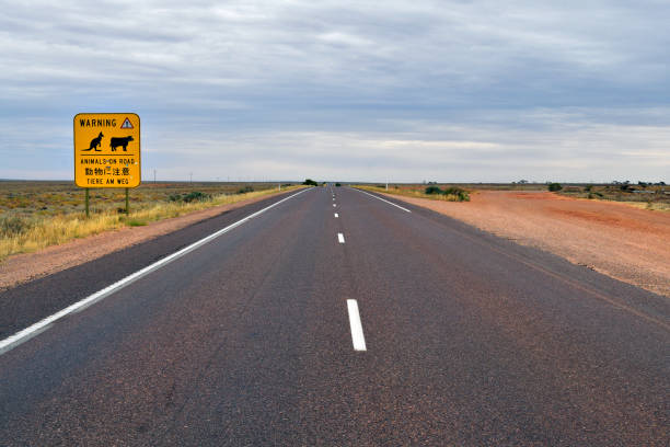 istock Australia, SA, travel, Stuart Highway 927868600