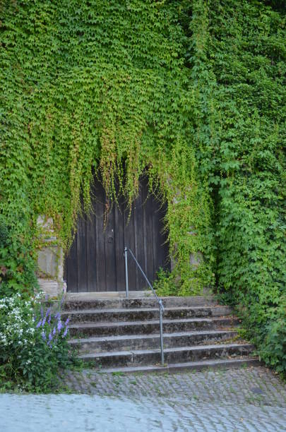 istock City of Marburg, Germany 927872140