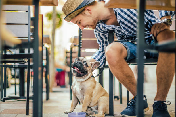 A customer interacting with a dog at a pet-friendly outdoor cafe.