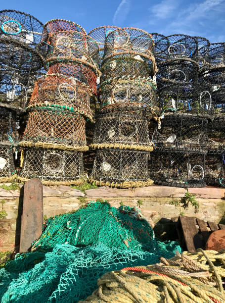 istock Lobster pots and fishing nets 927883426