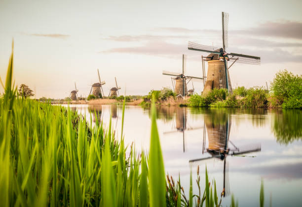 Traditional Dutch windmills at Kinderdijk A long exposure image of old-fashioned Dutch windmills by a canal, near the village of Kinderdijk in Holland. watermill stock pictures, royalty-free photos & images