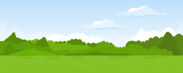 Rural summer landscape Cartoon illustration of the rural summer landscape land stock illustrations