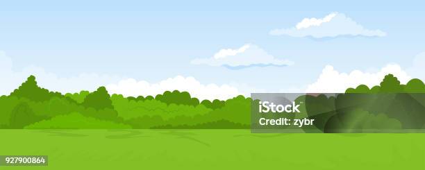 Rural Summer Landscape Stock Illustration - Download Image Now - Tree, Grass, Agricultural Field
