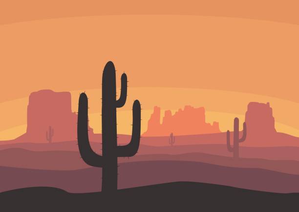 bildbanksillustrationer, clip art samt tecknat material och ikoner med ökenlandskap med silhuetter kaktus, kullar och berg. natur solnedgång på en bakgrund av berg. extrema turism och resande. vektorillustration - desert cactus