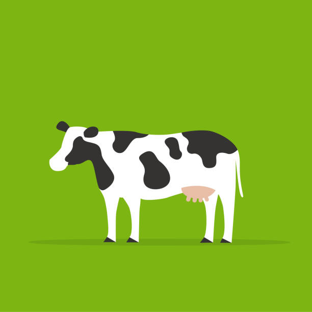 ilustraciones, imágenes clip art, dibujos animados e iconos de stock de una vaca en fondo verde. - vacas