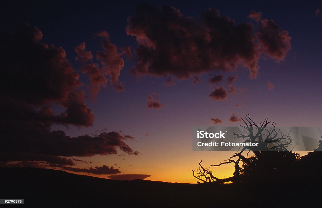 Пустынный закат - Стоковые фото Аризона - Юго-запад США роялти-фри