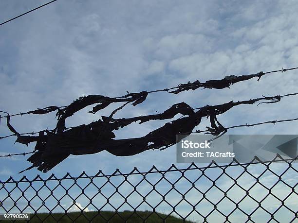 En El Cable Foto de stock y más banco de imágenes de Alambre - Alambre, Alambre de espino, Alto - Descripción física