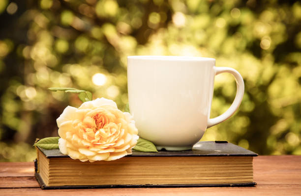 Cup of tea, old book and  rose in the summer garden. Coffee and book. Tea in the garden. stock photo