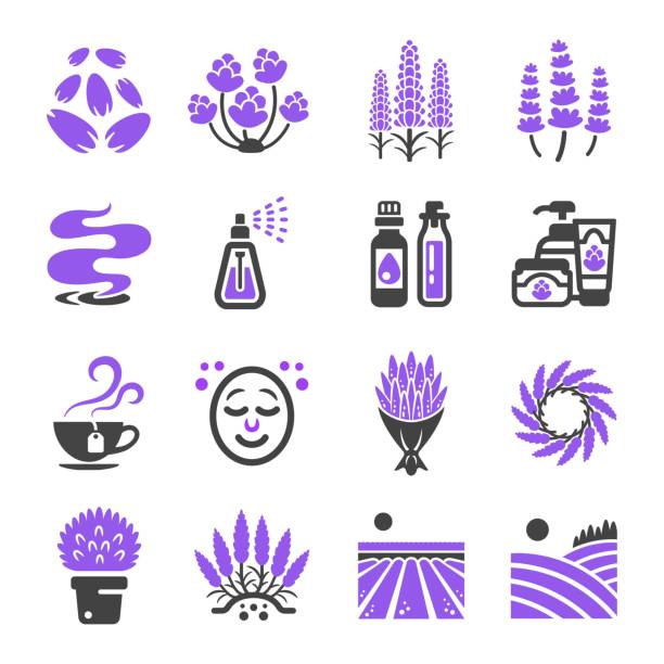 lavender icon lavender flower icon set panicle stock illustrations