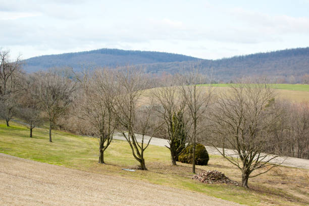 istock Grass field, green spring landscape 927911160