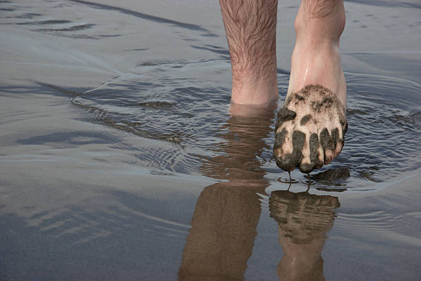 coastal kulissen-schritt-out - human foot wading sea human toe stock-fotos und bilder
