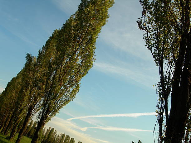 Líneas en el cielo - foto de stock