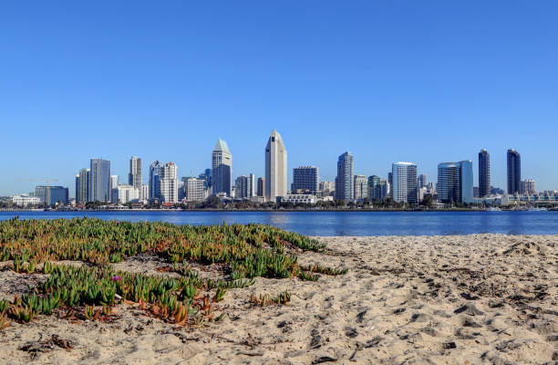 istock San Diego, California skyline from Coronado Island 927924236
