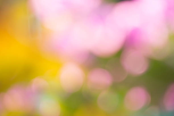 istock green yellow pink bokeh blurred background. 927927670