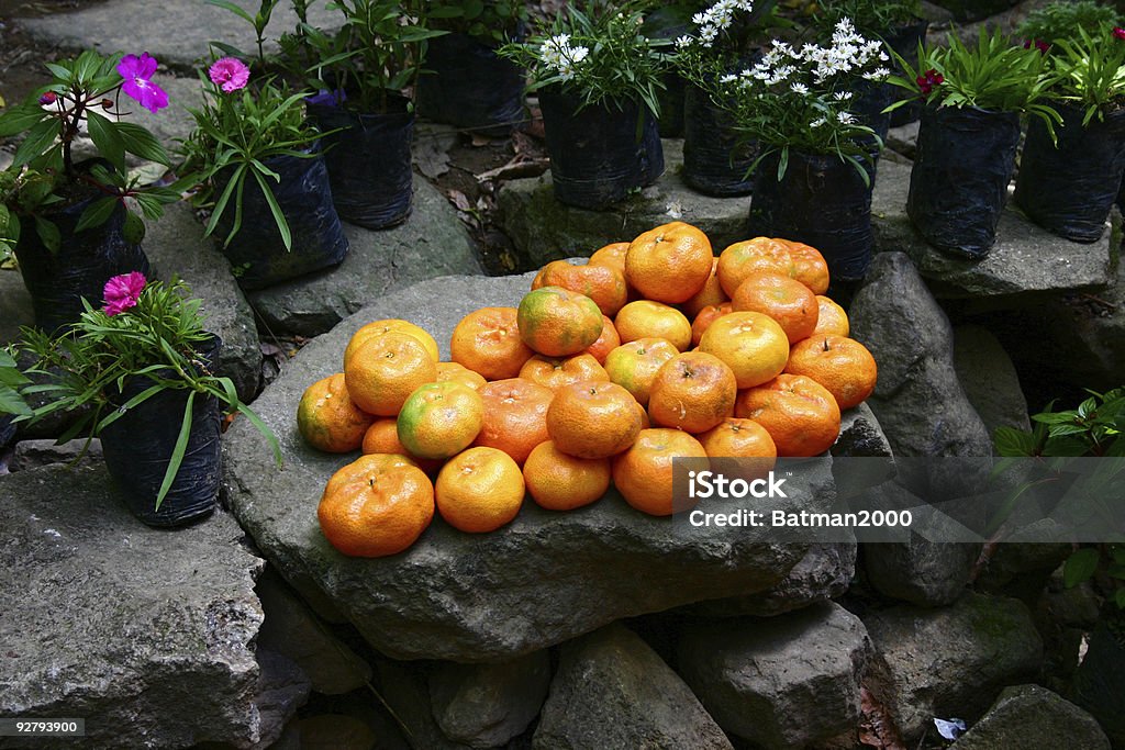 Мандарин Oranges - Стоковые фото Anton Rummel Von Liechtenan роялти-фри