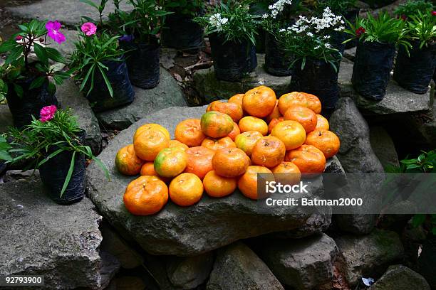 Мандарин Oranges — стоковые фотографии и другие картинки Anton Rummel Von Liechtenan - Anton Rummel Von Liechtenan, Апельсин, Без людей