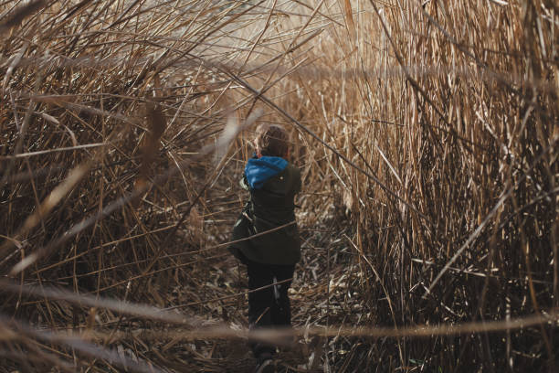 istock Little boy exploring reeds area on a sunny day 927939936