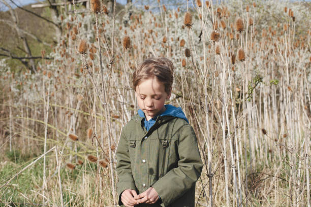 istock Little boy exploring reeds area on a sunny day 927941280