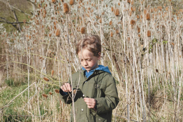 istock Little boy exploring reeds area on a sunny day 927942070