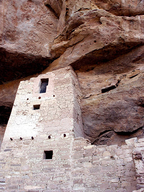 cliff palace detalhes - mesa green green eyes unripe - fotografias e filmes do acervo