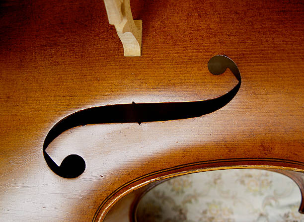 violoncelle il - violin cello music letter f photos et images de collection