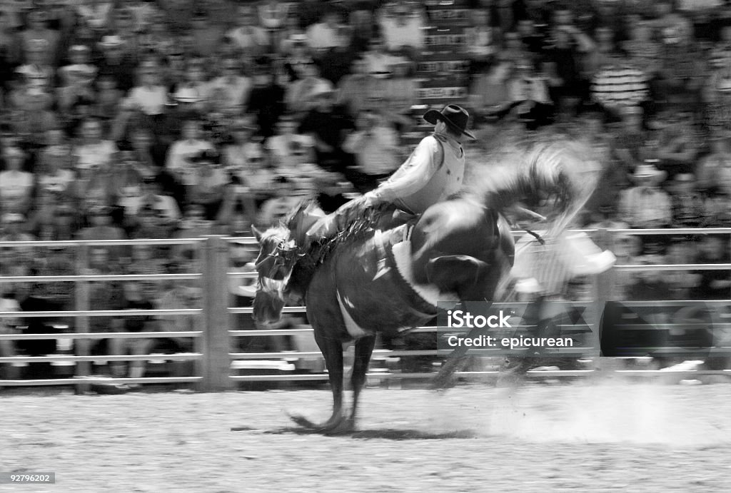 Ancora un Rodeo, - Foto stock royalty-free di Alzarsi su due zampe