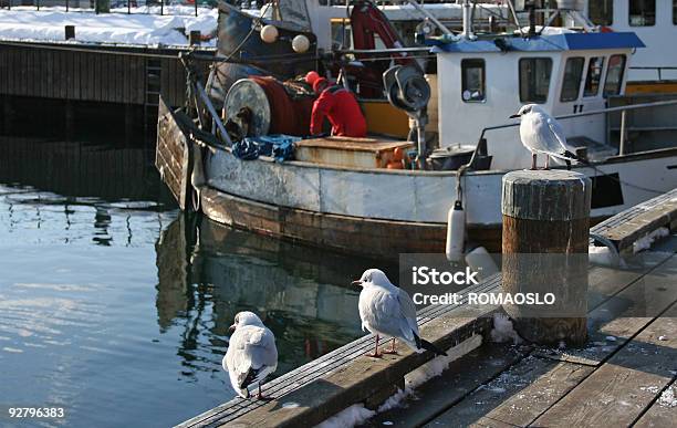 Photo libre de droit de Lhiver À Oslo Norvège banque d'images et plus d'images libres de droit de Assis - Assis, Bateau de pêche, Capitales internationales