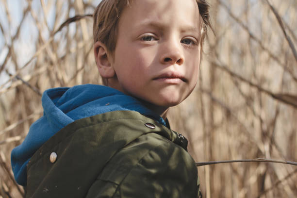 Little boy exploring reeds area on a sunny day stock photo