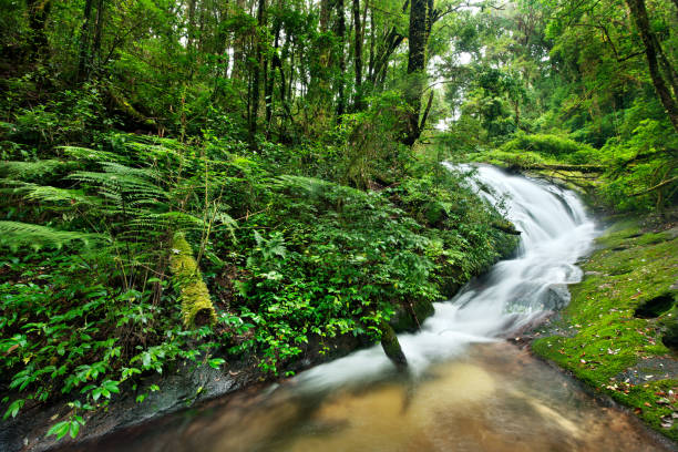 istock waterfall in thai national park. In the deep forest on mountain. 927970018
