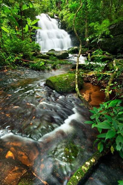 istock waterfall in thai national park. In the deep forest on mountain. 927970150