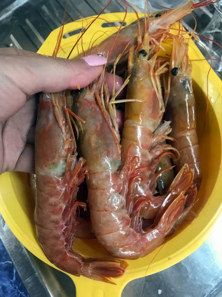 istock prepare tasty big shrimps 927972322