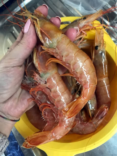 istock prepare tasty big shrimps 927972680