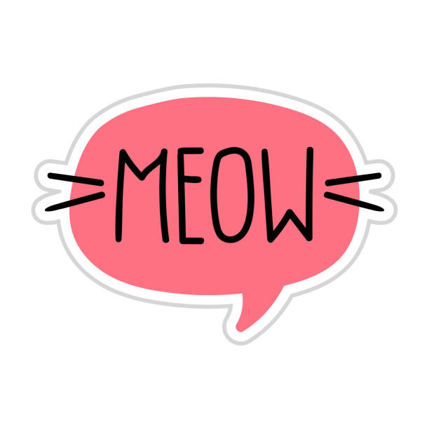 Meow. Vector lettering doodle, icon, speech bubble illustration on white background. Hand drawn concept for print. miaowing stock illustrations