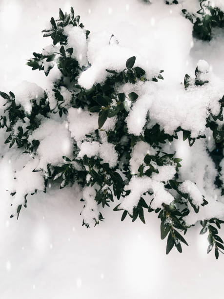 istock snowfall in the city 927975112