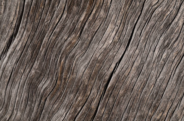The texture is an old gray wooden board with cracks. Horizontal photo, wallpaper