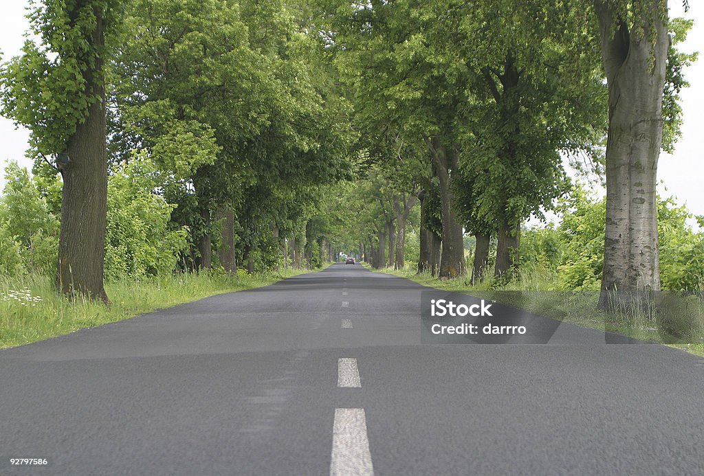 Strada 4 - Foto stock royalty-free di Albero