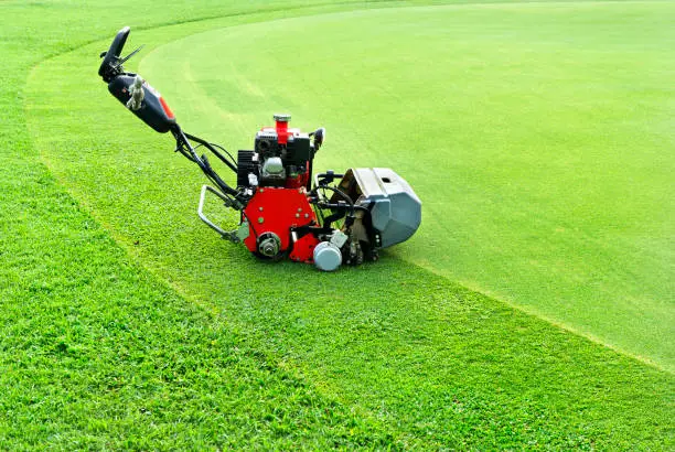 cutting machine  on golf green. Lawn mower cutting green grass in backyard,Garden service,grass cutter cutting green lawns.