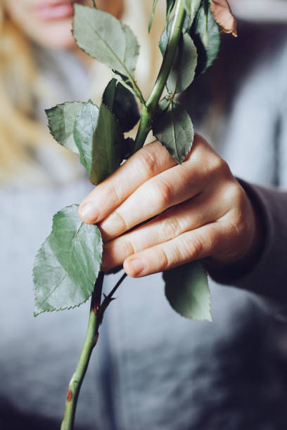 istock Modern florist working with flowers in workshop - with detail on hands 927978334