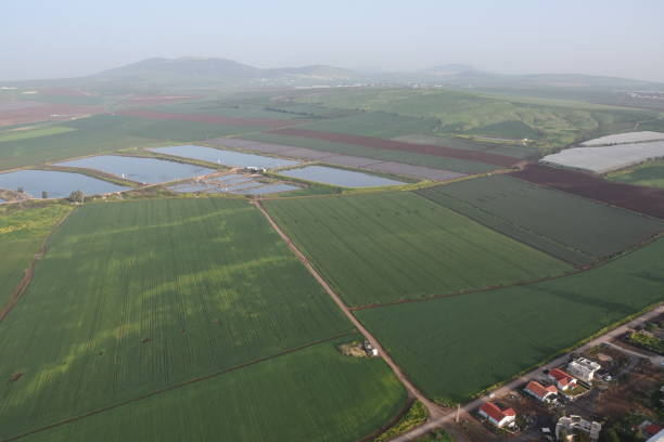 istock Aerial view of agricultural fields 927978930